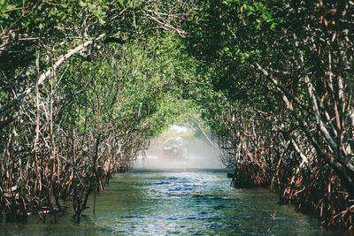 Scenic view of sea against trees in forest