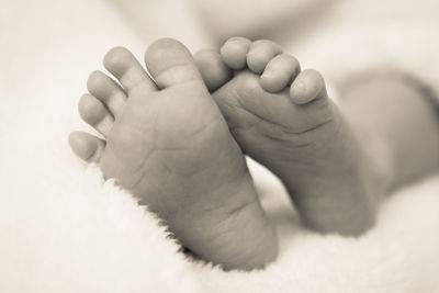 Close-up of baby feet