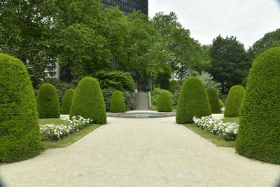 View of garden in park