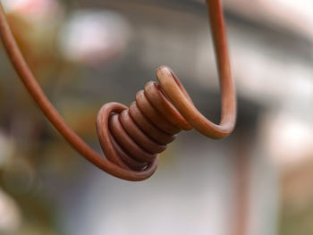 close-up