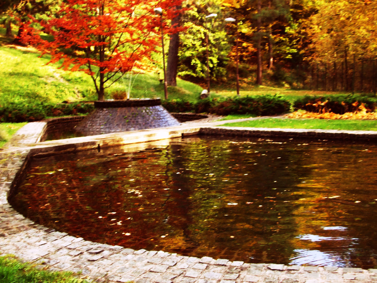 water, tree, reflection, autumn, tranquility, nature, beauty in nature, tranquil scene, growth, scenics, green color, park - man made space, pond, lake, stream, grass, river, change, outdoors, day