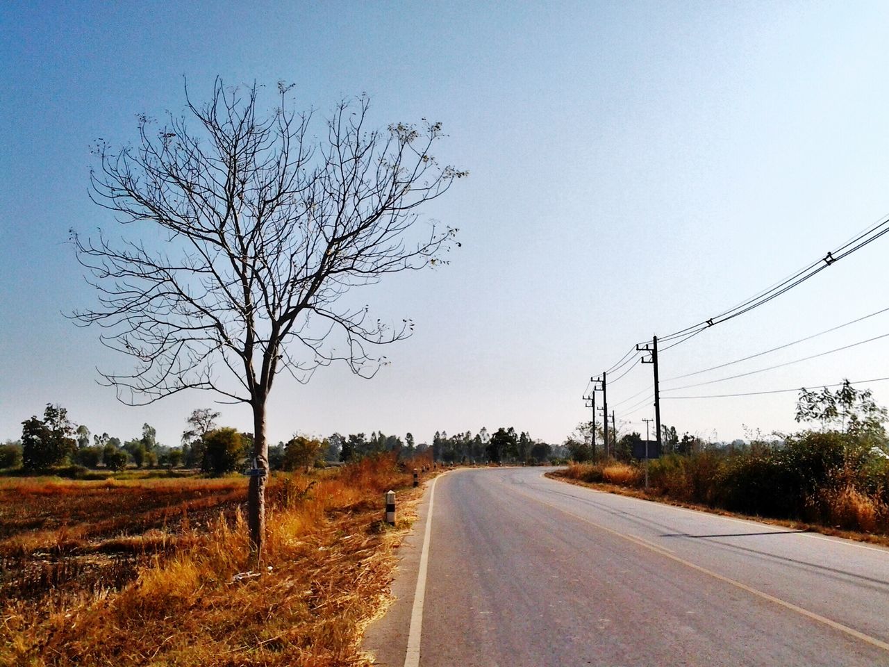 the way forward, transportation, road, clear sky, diminishing perspective, country road, vanishing point, tree, bare tree, empty road, landscape, road marking, long, tranquility, tranquil scene, copy space, empty, countryside, nature, electricity pylon