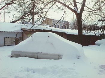 Snow covered trees in winter