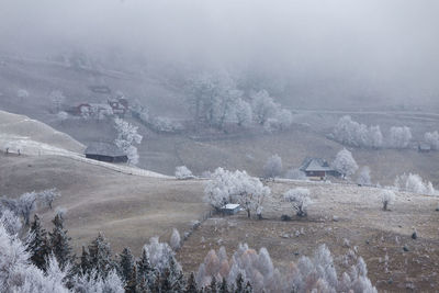 Mountain winter scene in the rural transylvania