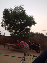 People relaxing by tree against clear sky