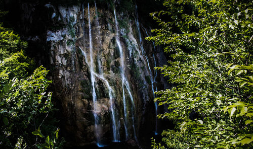 Scenic view of waterfall in forest