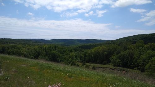 Scenic view of field against sky