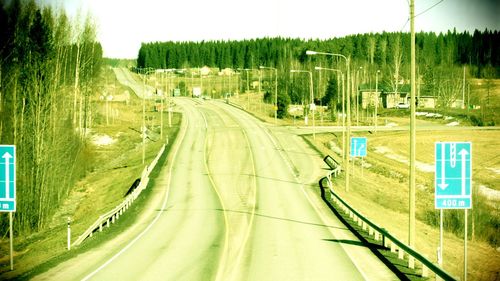 Road along trees