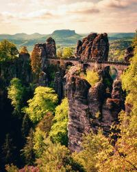 nature