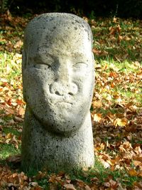 Close-up of stones on field