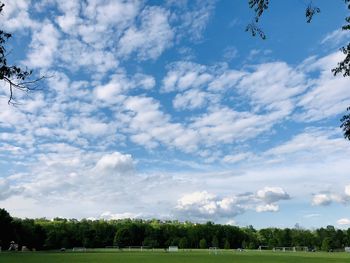 Low angle view of trees on field against sky