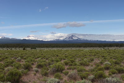 View of deschutes wilderness, bend oregon