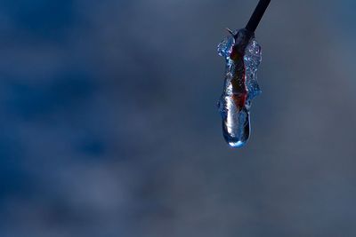Close-up of frozen water in winter against sky