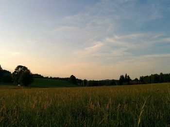 Scenic view of field against cloudy sky