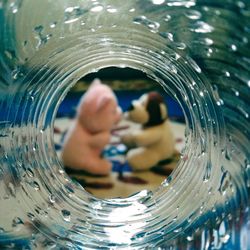 Close-up of water drop on glass