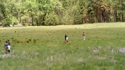 Man standing on grassy field