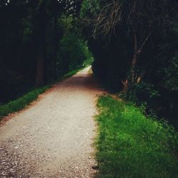 Dirt road passing through forest