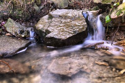 View of waterfall in forest