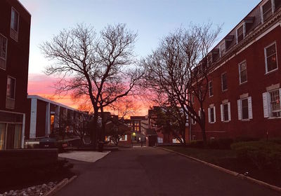 Bare trees by buildings against sky during sunset