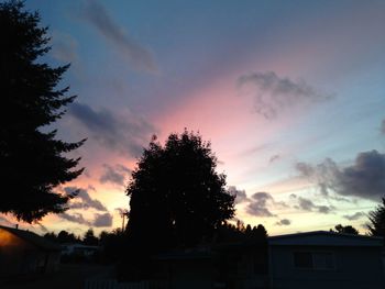 Silhouette of trees at sunset