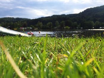 Scenic view of grassy field against cloudy sky