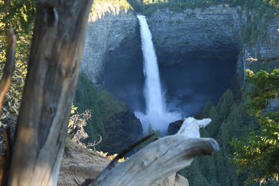 Scenic view of waterfall in forest