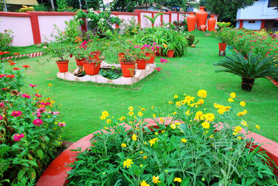 Potted plants in garden