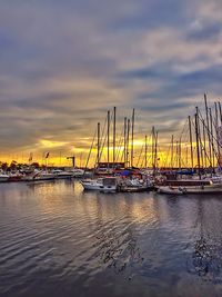 Sailboats moored at harbor