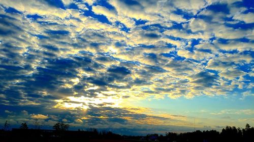 Low angle view of silhouette trees against dramatic sky