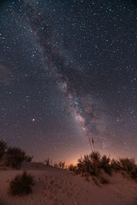 Low angle view of silhouette trees against sky at night