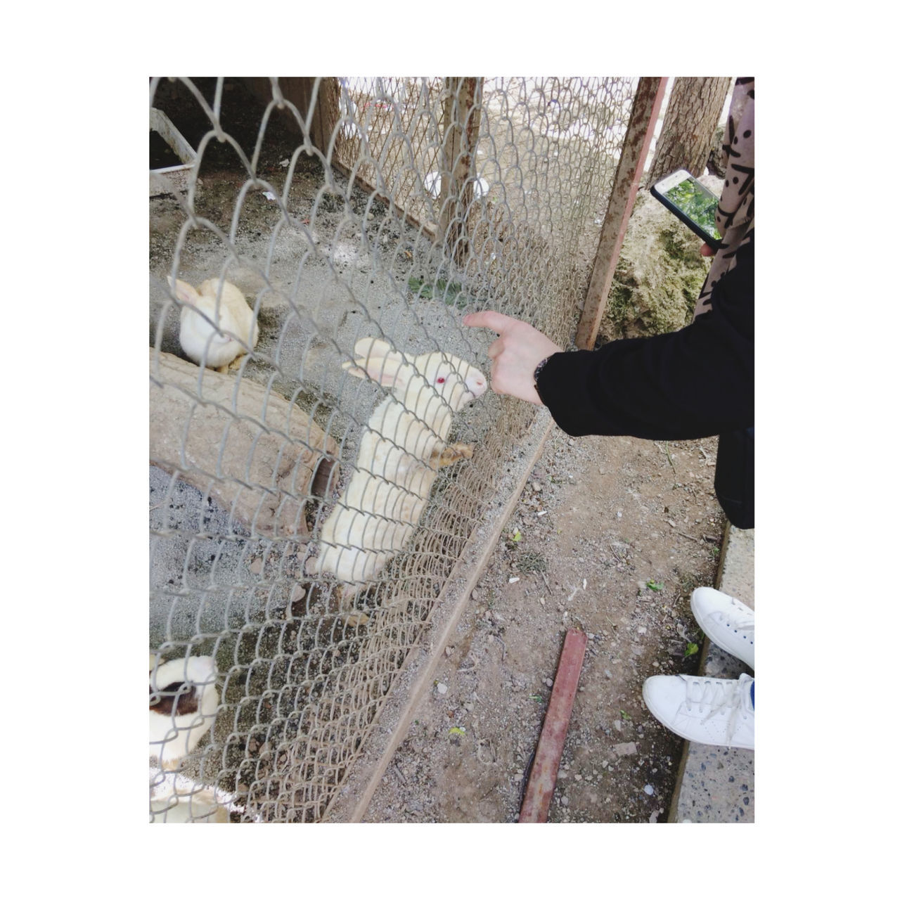 transfer print, one person, auto post production filter, real people, low section, day, human body part, men, high angle view, human leg, standing, outdoors, shoe, body part, fence, nature, lifestyles, architecture, metal, human foot