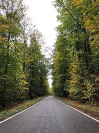 Empty road amidst trees in forest