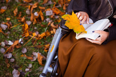 Woman sitting on a wheelchair and reading a book while relaxing at a park person