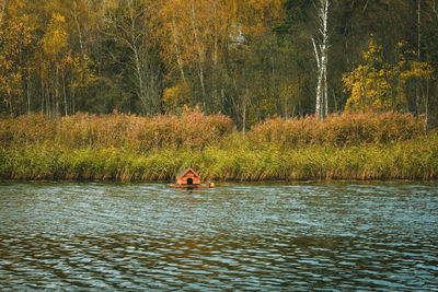 Scenic view of lake in forest