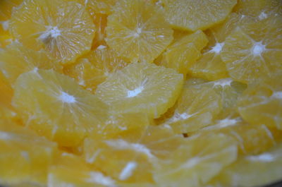 Close-up of yellow flower