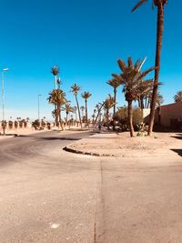 Palm trees on desert against clear blue sky