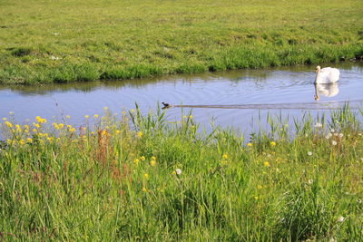 Scenic view of lake