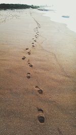 Footprints at beach