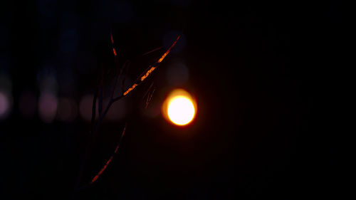 Close-up of illuminated lights against sky at night