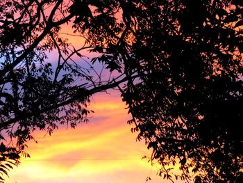 Low angle view of silhouette tree against sky at sunset