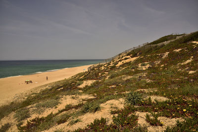 Scenic view of beach against sky