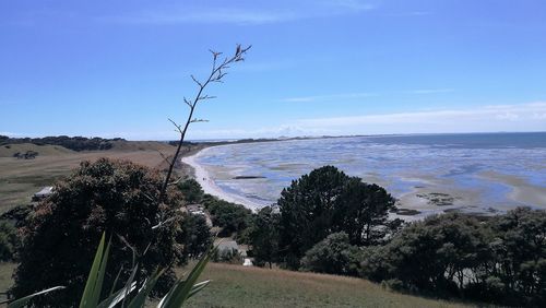 Scenic view of beach against blue sky