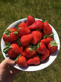 Close-up of hand holding strawberries
