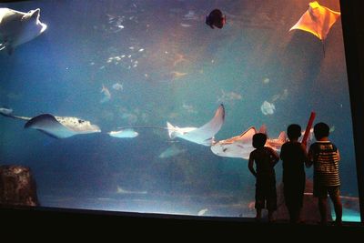 Fish swimming in aquarium