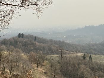 Scenic view of landscape against sky during foggy weather