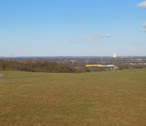 Scenic view of grassy field against sky