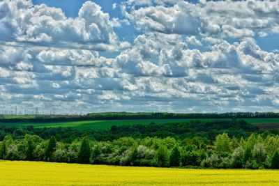 Scenic view of agricultural field against sky