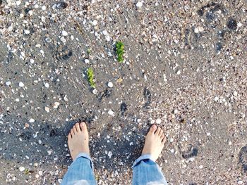 Low section of person standing at beach