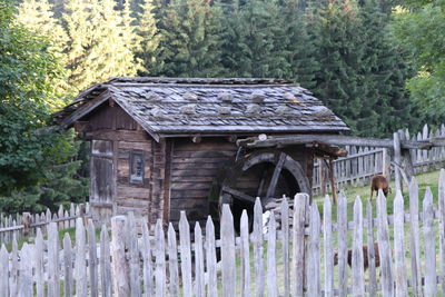 House amidst trees and plants in forest