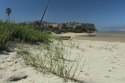 Scenic view of beach against clear sky